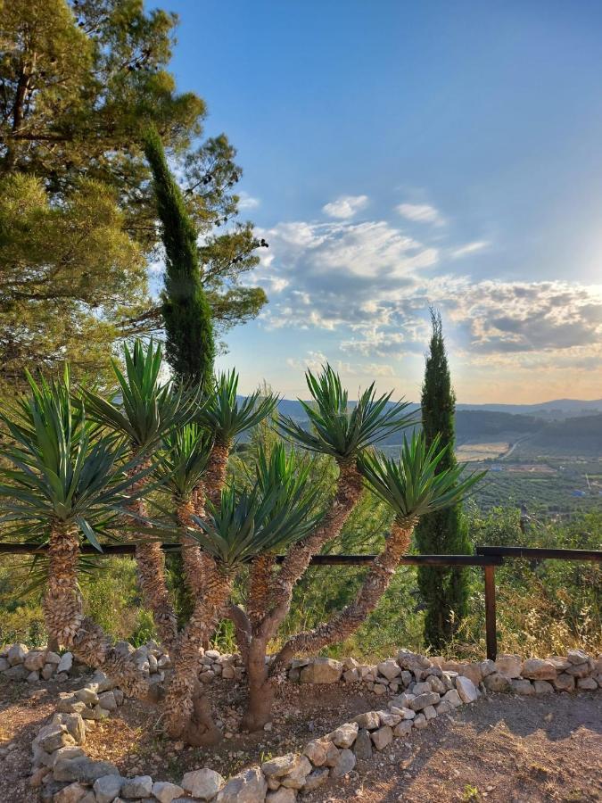 B&B Villa Maria Ester Vieste Exteriér fotografie